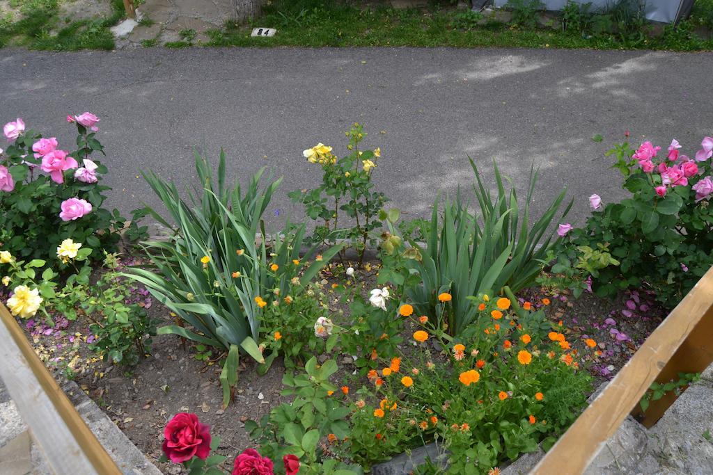 Camping Aneto Benasque Exterior foto